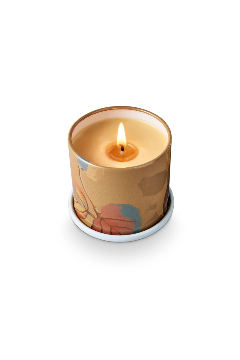 Santal Birch Candle