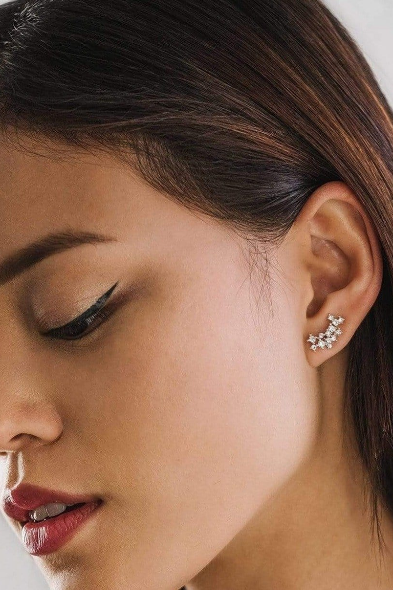 Stardust Climber Earrings