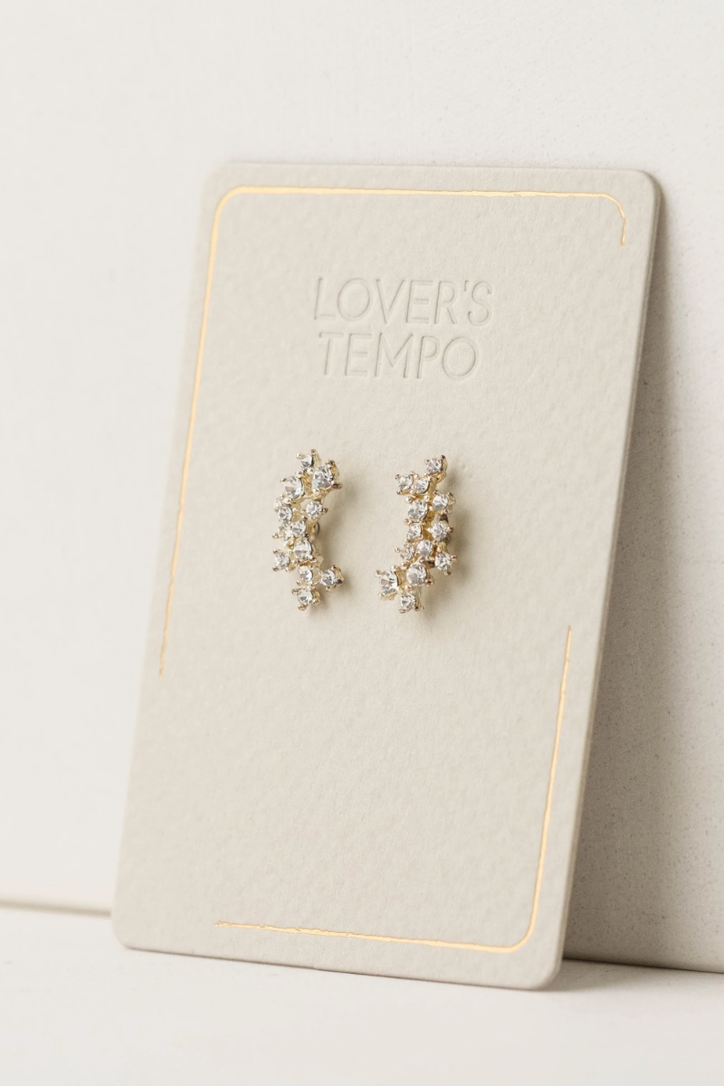 Stardust Climber Earrings
