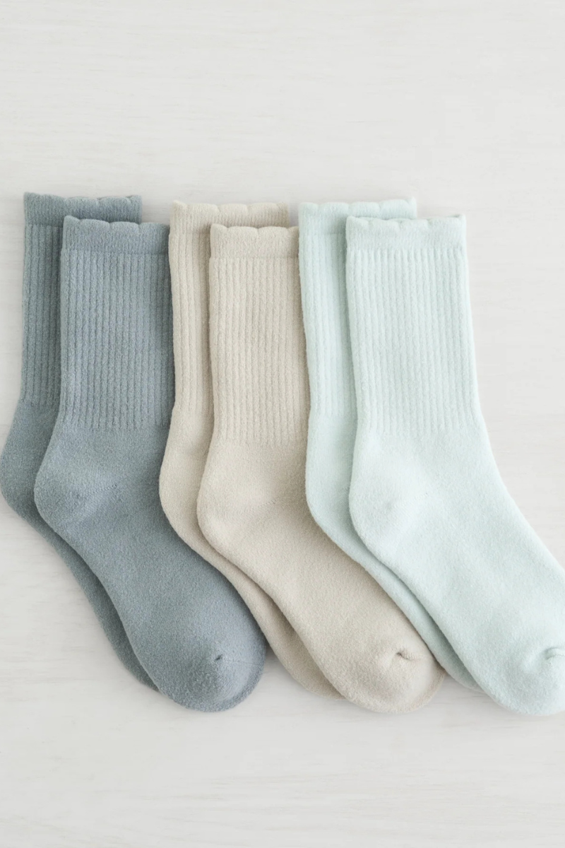 Scallop Edge Crew Sock | 3 Pack