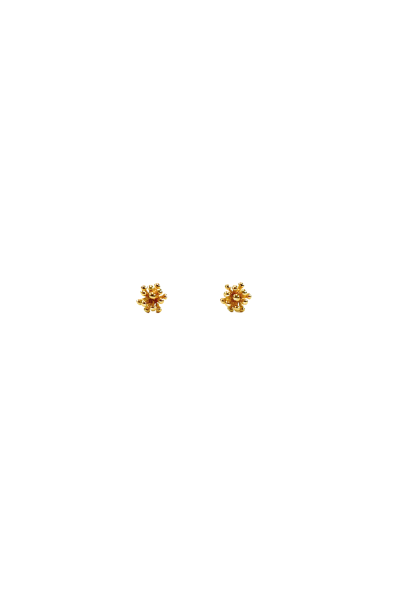 Living Corals Studs