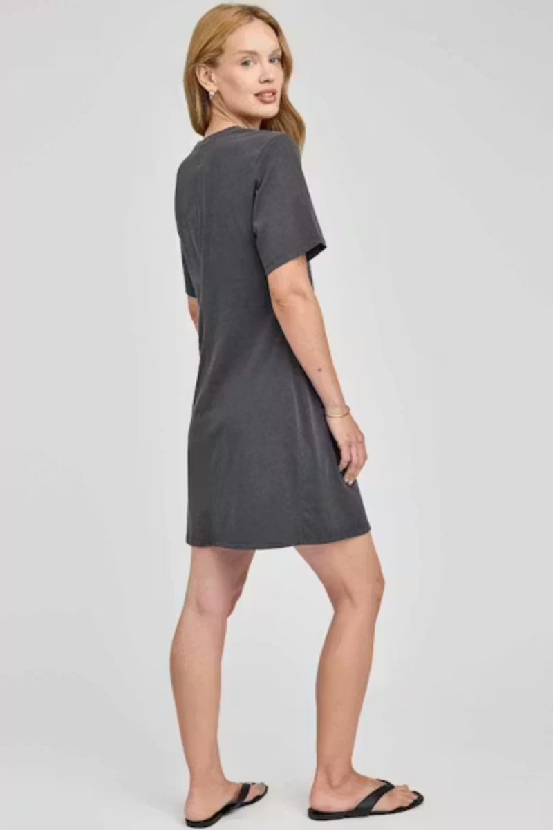 Cindy Crewneck Dress