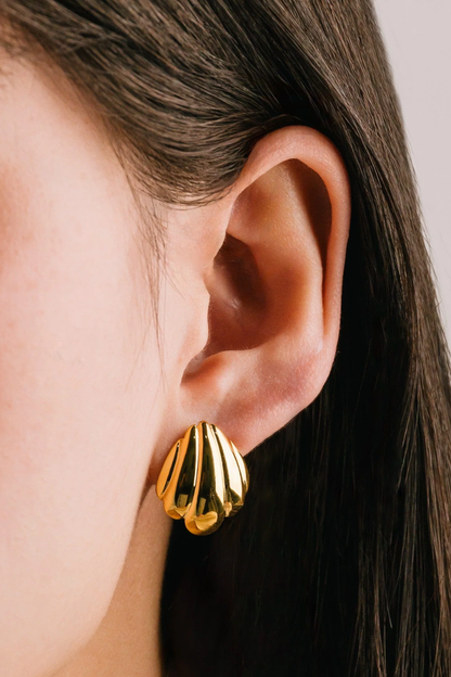 Shell Earrings