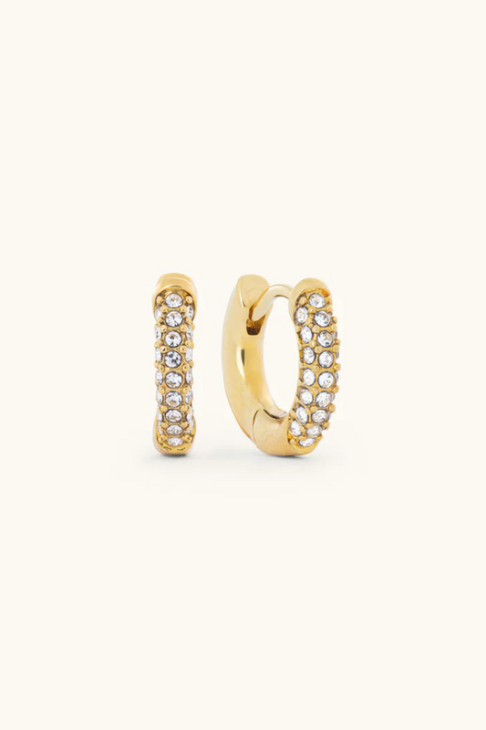 Ari Earrings