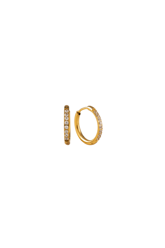 Evie Hoops
