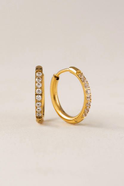 Evie Hoops