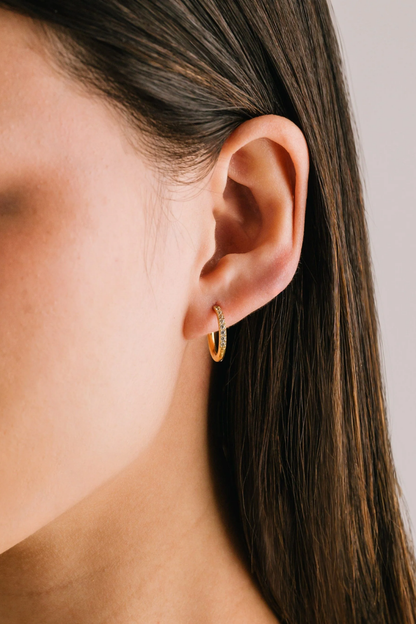 Evie Hoops