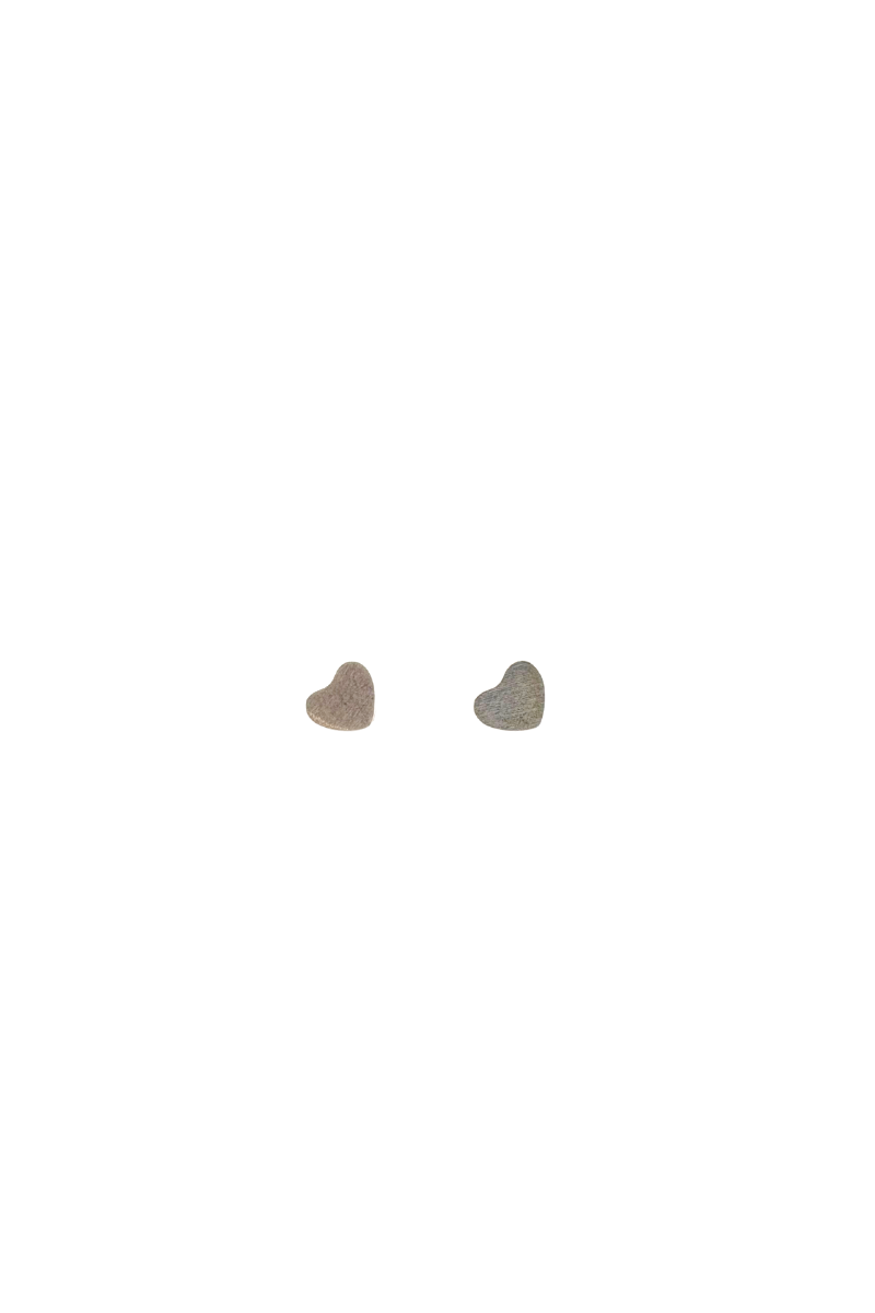 Eclipse of the Heart Studs | Silver