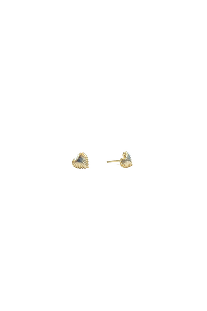 Seashell Heart Earrings