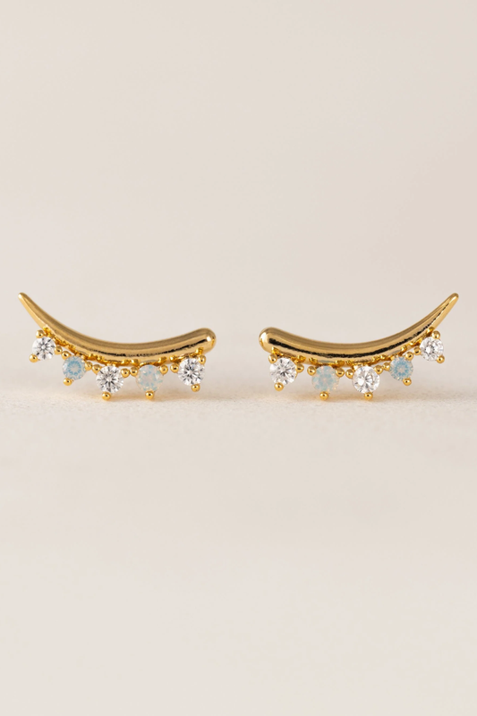 Dewdrop Climber Earrings