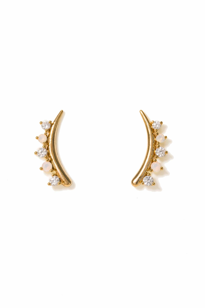 Dewdrop Climber Earrings