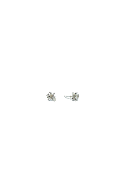 Living Corals Studs