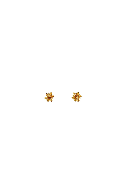 Living Corals Studs