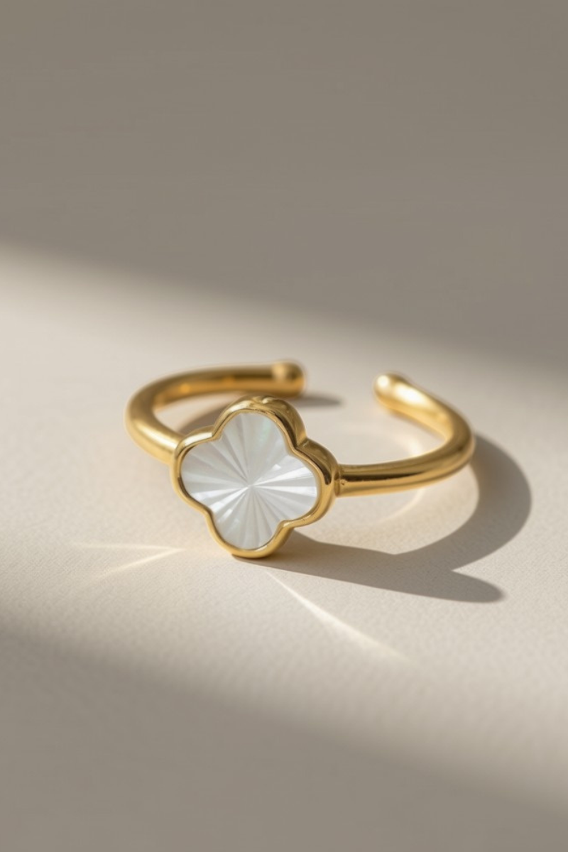 Anika Ring