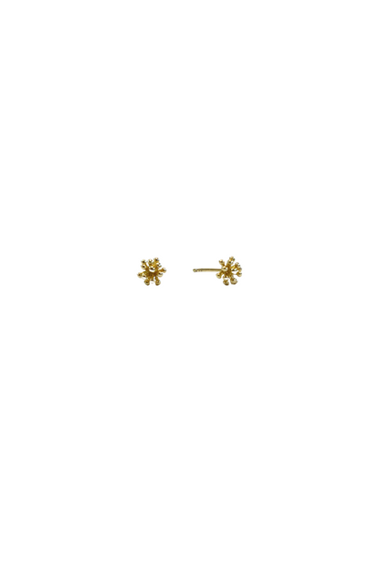 Living Corals Studs