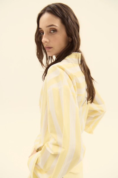 Vicenze Stripe Shirt