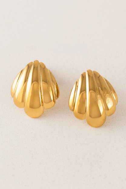 Shell Earrings